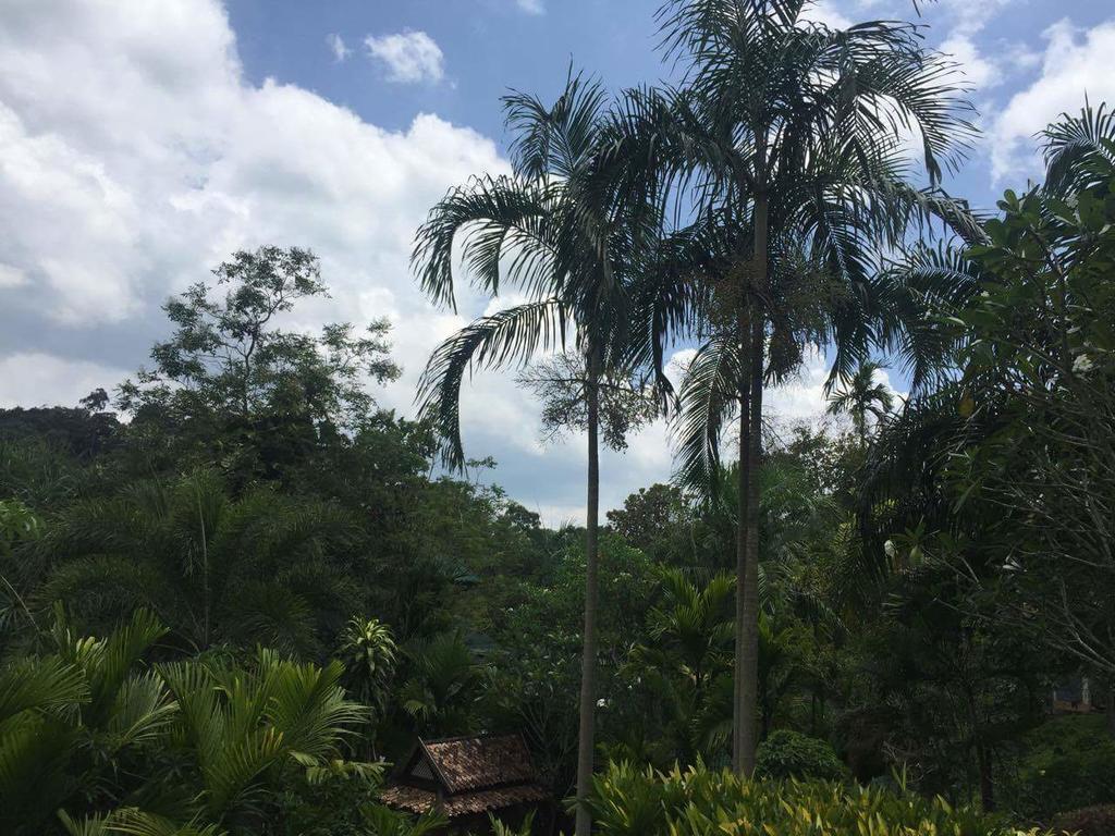 Aonang Cliff Mountain New Resort Ao Nang Exterior photo